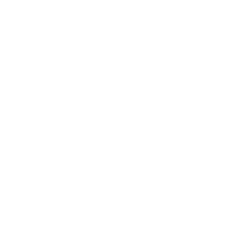 Vertex Icon