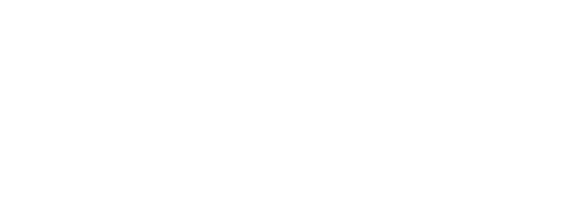 Vertex Logo Blanco